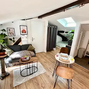 Loft Hortensia Hyper Centre Castres Appartement